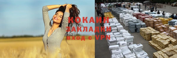 гидропоника Новокубанск