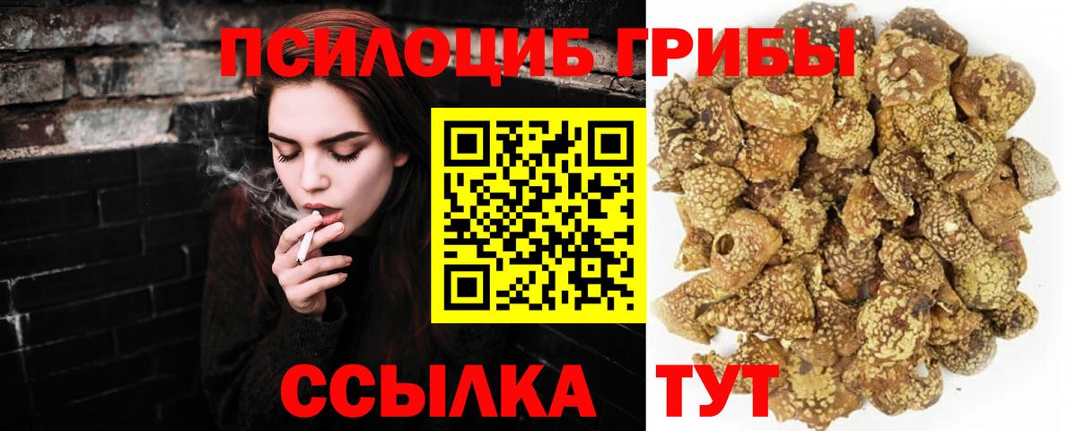 Псилоцибиновые грибы GOLDEN TEACHER  Вход с VPN  Железноводск 
